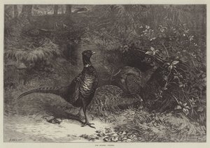 Les mois, octobre - George Bouverie Goddard